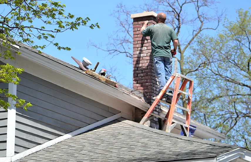 Chimney & Fireplace Inspections Services in Spring, TX